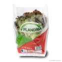 Conical lettuce bag 'Lollo Rossa', LDPE, transparent, 40µ, 39/18 x 30 cm