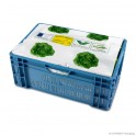 Lettuce case wrap 'Belgian greenhouse lettuce', HDPE, white/green